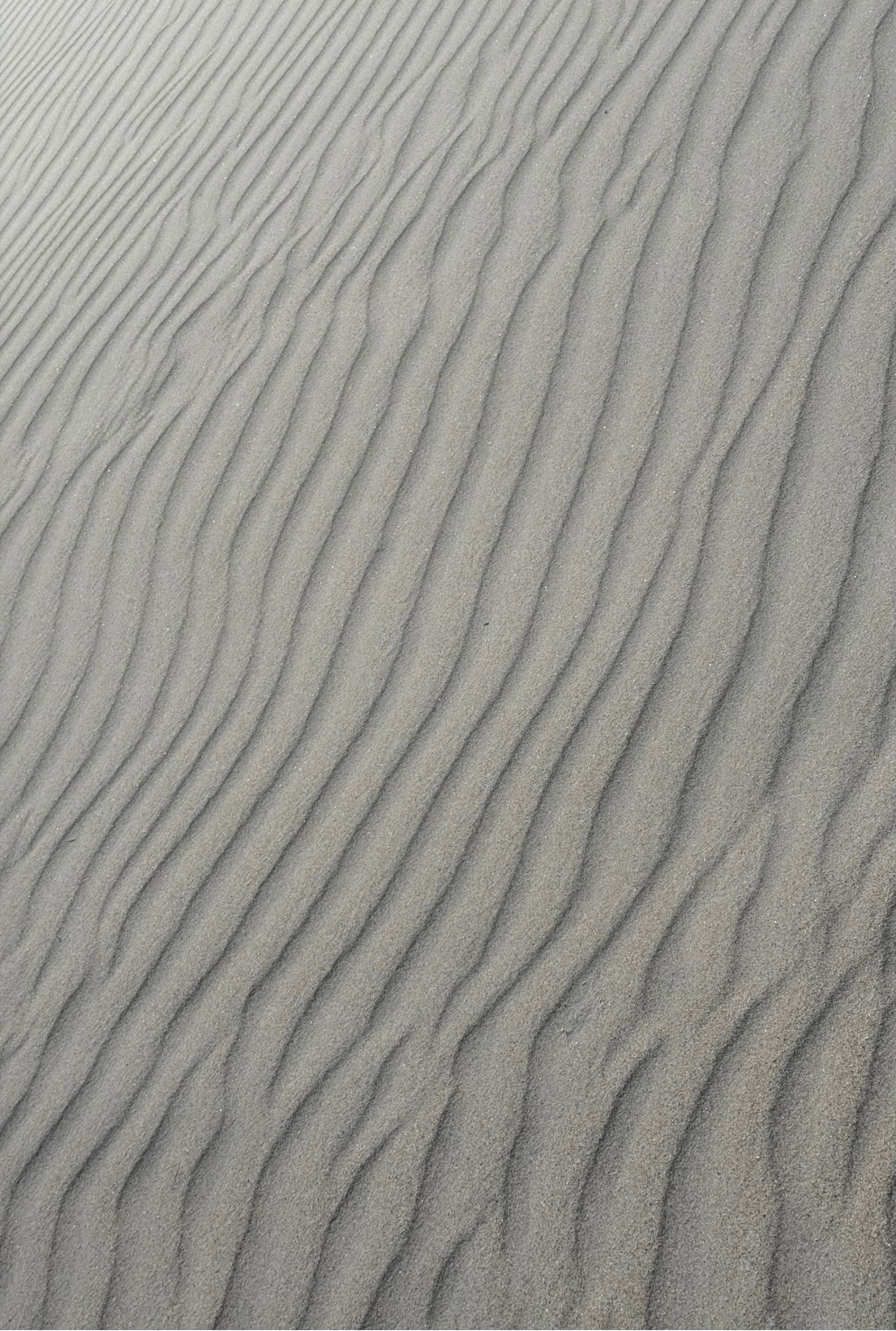 Sand Veil