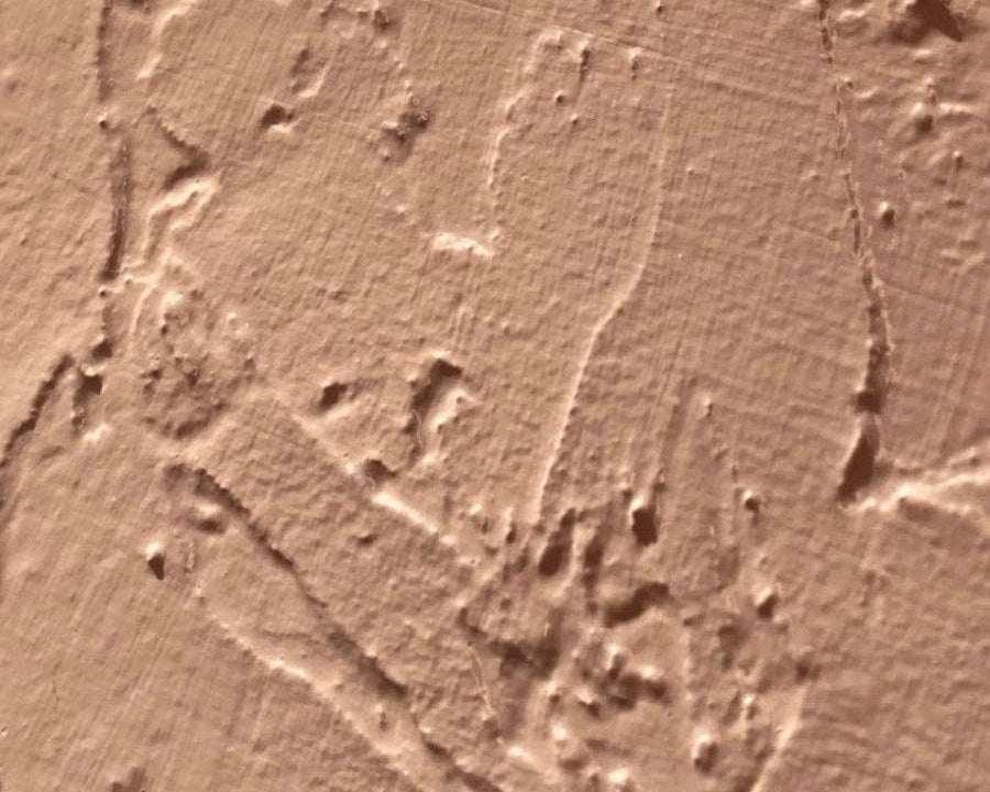 A close-up of a textured beige plaster or stucco surface with raised organic lines and a warm tan tone.