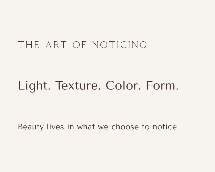 The art of noticing. Light. Texture. Color. Form. Beauty lives in what we choose to notice.