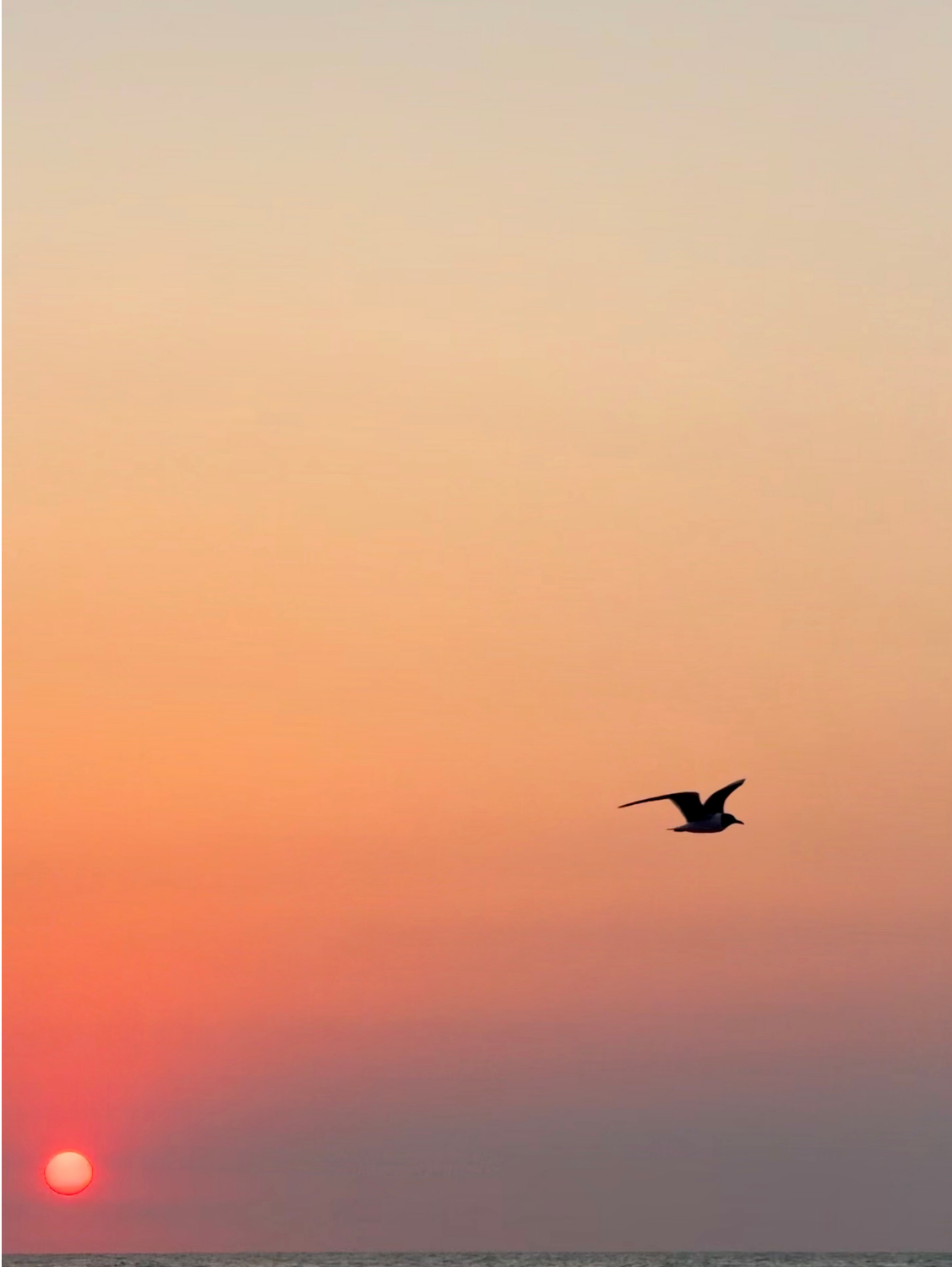 Held By The Wind